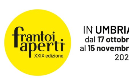 Frantoi Aperti in Umbria 2026: cinque weekend dedicati all’olio nuovo