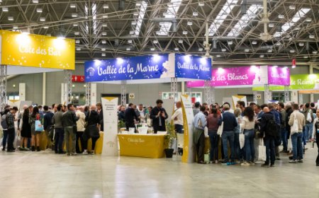 Champagne Experience 2026: Bologna capitale dello Champagne per due giorni