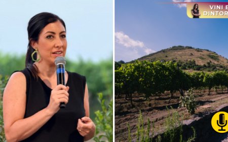 Vendemmia 2026, calendari sempre più anticipati. Intervista all’enologa Maria Carella