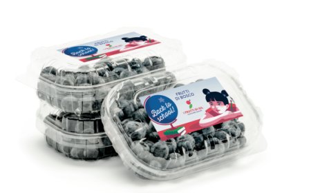 I Frutti di Gil, limited edition Back to School per mirtilli, more, ribes e lamponi