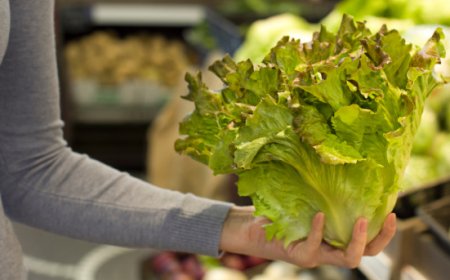 Insalate e verdure, il clima cambia le regole dello scaffale