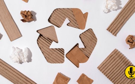 Packaging alimentare sostenibile: le imprese sono pronte ai nuovi obiettivi europei?