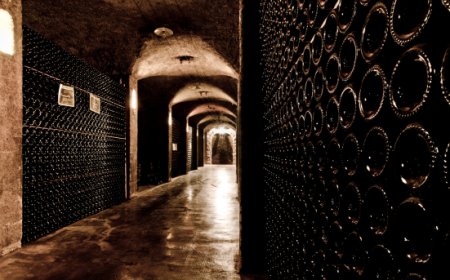 Festival Franciacorta 2026, tre giorni per conoscere vino, territorio e paesaggio