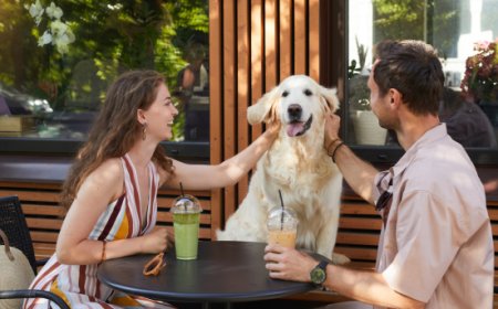 Con il cane al ristorante: dai biscotti ai menù dedicati, come ampliare l'offerta