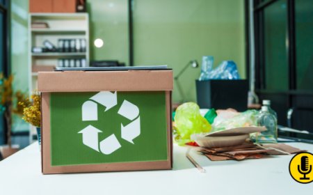 Carta e cartone nei locali: cosa fare con scatole, tovaglioli e imballaggi sporchi