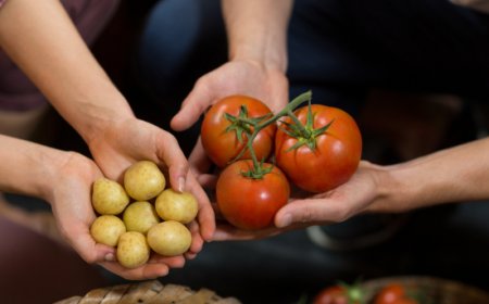 Prezzi alimentari ed energia, cosa sta accadendo ai mercati che interessano l’Horeca