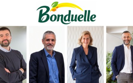 Bonduelle Italia, nuova struttura Out of Home per una gestione integrata del fuori casa