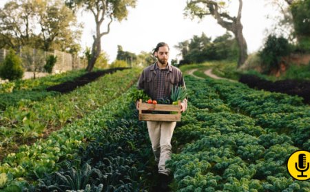 Ortaggi, quando coltivare non conviene più: cosa rischia la filiera alimentare