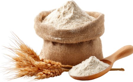 Farina di grano tenero, export italiano a +14,83% nel primo semestre 2026