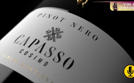 Pinot Nero a mille metri sul Taburno: la scommessa di Cosimo Capasso conquista l’oro al Mondial des Vins Extrêmes