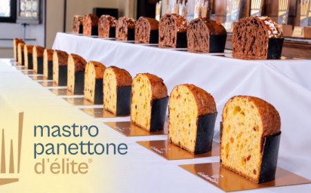 Mastro Panettone d’Élite 2026: la sfida ''Mani in Pasta'' arriva al WAICO LAB
