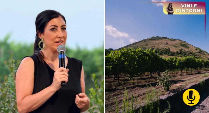Vendemmia 2026, calendari sempre più anticipati. Intervista all’enologa Maria Carella