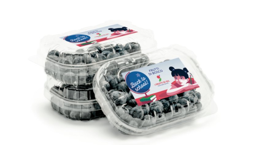 I Frutti di Gil, limited edition Back to School per mirtilli, more, ribes e lamponi