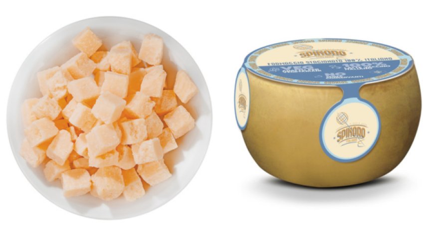Spinoro e Pecorino Vegetariano, l’offerta DalterFood Group per la ristorazione
