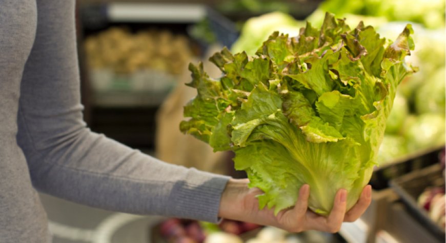 Insalate e verdure, il clima cambia le regole dello scaffale