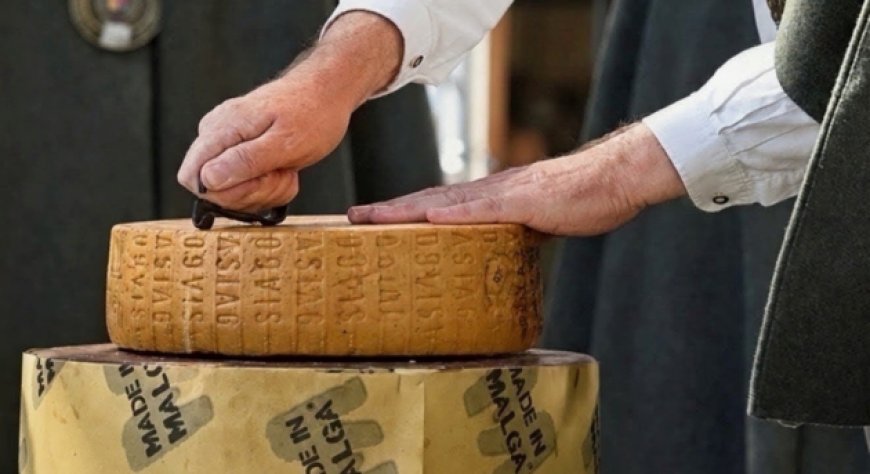 Asiago DOP Prodotto della Montagna, dieci anni di stagionatura per una forma preziosa