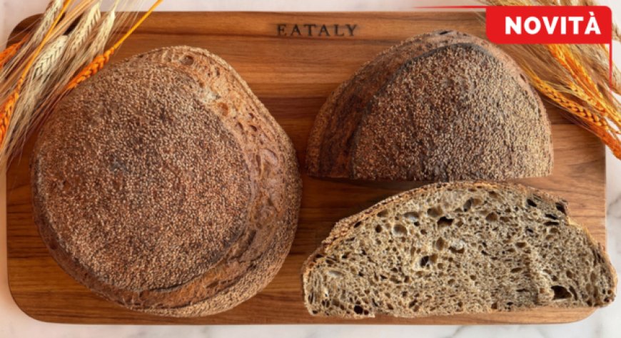 Eataly presenta Semola e Sesamo, nuovo pane biologico con semola brunita