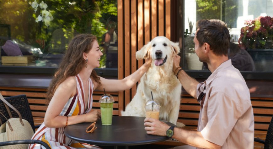 Con il cane al ristorante: dai biscotti ai menù dedicati, come ampliare l'offerta