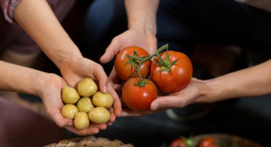 Prezzi alimentari ed energia, cosa sta accadendo ai mercati che interessano l’Horeca