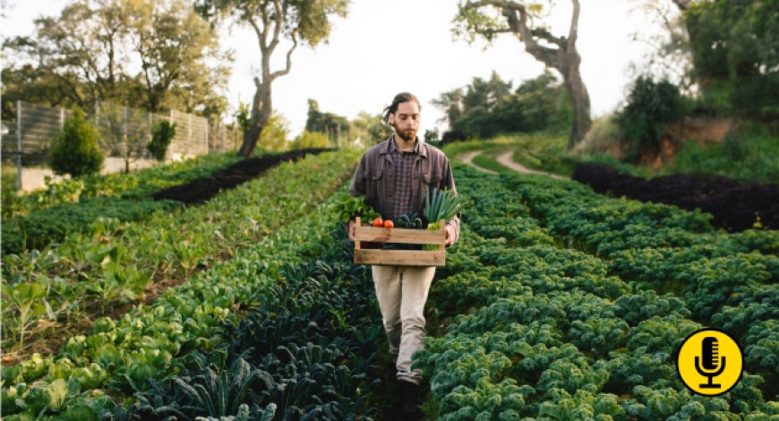 Ortaggi, quando coltivare non conviene più: cosa rischia la filiera alimentare