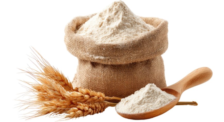 Farina di grano tenero, export italiano a +14,83% nel primo semestre 2026