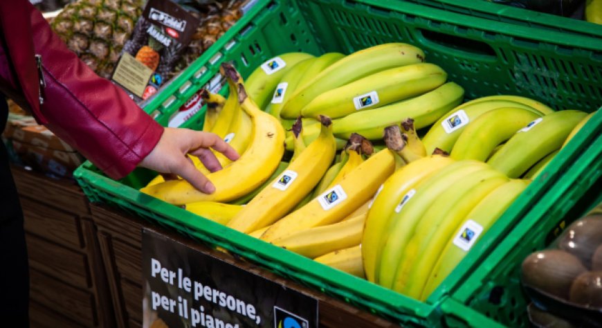 Settimane Fairtrade 2026, la spesa responsabile arriva nei supermercati