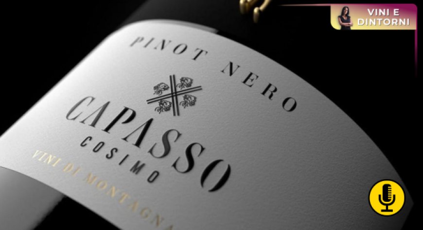 Pinot Nero a mille metri sul Taburno: la scommessa di Cosimo Capasso conquista l’oro al Mondial des Vins Extrêmes