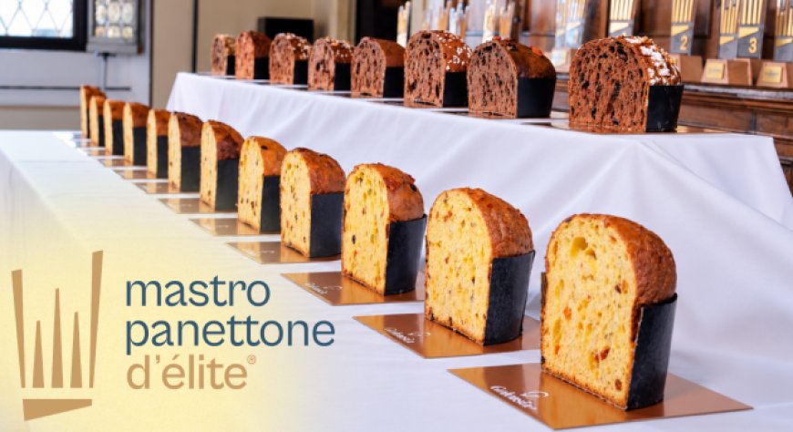 Mastro Panettone d’Élite 2026: la sfida ''Mani in Pasta'' arriva al WAICO LAB
