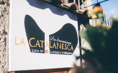 Il 4 ottobre la XIII Festa della Vendemmia dedicata alla Catalanesca