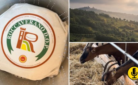 Roccaverano DOP: il piccolo formaggio di capra che mantiene vivo un antico borgo dell’Alta Langa astigiana