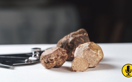 Tartufo bianco, la stagione parte con poco prodotto e prezzi già sotto pressione