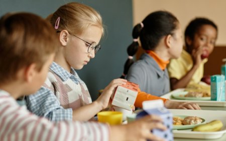 Mense scolastiche senza maiale a Piacenza: cosa c’è davvero dietro questa scelta