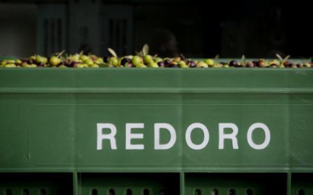 Olio extravergine, Redoro: il divario di prezzo con la Spagna scende a 67 centesimi