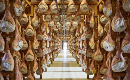 Prosciutto di San Daniele, 600 giorni per il «Seicento»: cosa cambia per il mercato