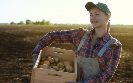 Agroalimentare, i costi mettono a rischio la tenuta delle imprese