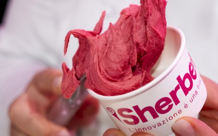Gelato artigianale, la ricerca scientifica al centro di un nuovo progetto con il CNR