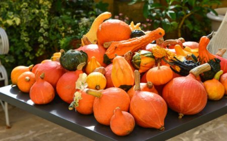 Zucca in cucina: scegliere la varietà giusta può cambiare resa e food cost