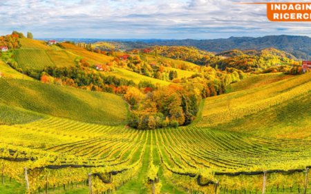 TEHA accende i riflettori sulle sfide del vino italiano tra mercato e innovazione