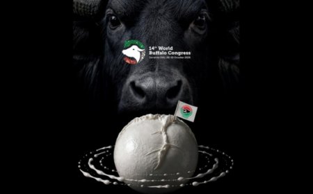 World Buffalo Congress 2026 a Sorrento con 283 contributi scientifici da oltre venti Paesi