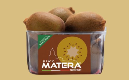 Nicofruit avvia la stagione del kiwi giallo Kiwy Matera