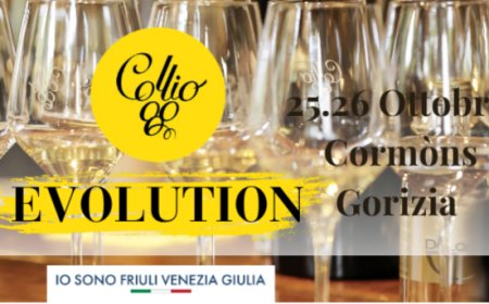 Collio Evolution 2026: i ristoratori promuovono i vini del Collio