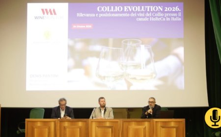 I vini del Collio si confermano un riferimento per l’Horeca: la ricerca Nomisma