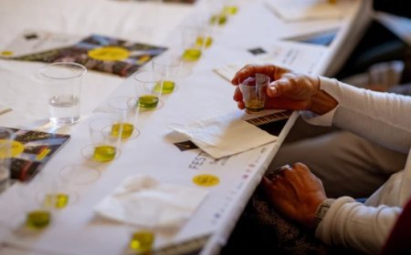 FestivOl 2026: olio nuovo, chef e degustazioni protagonisti a Trevi