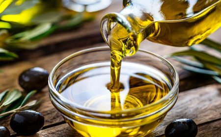 Olio d'oliva, ISMEA stanzia 40 milioni per i frantoi. ASSITOL chiede interventi per la filiera