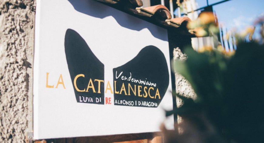 Il 4 ottobre la XIII Festa della Vendemmia dedicata alla Catalanesca