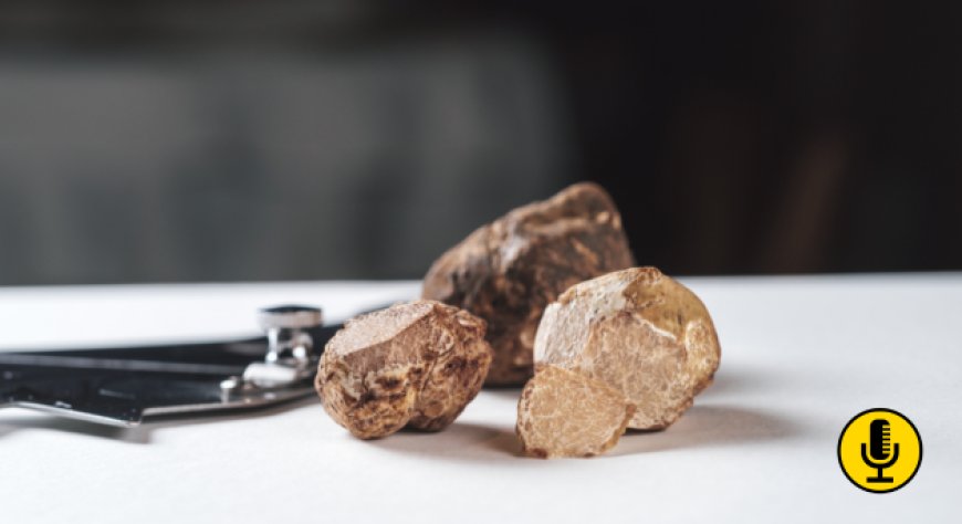 Tartufo bianco, la stagione parte con poco prodotto e prezzi già sotto pressione