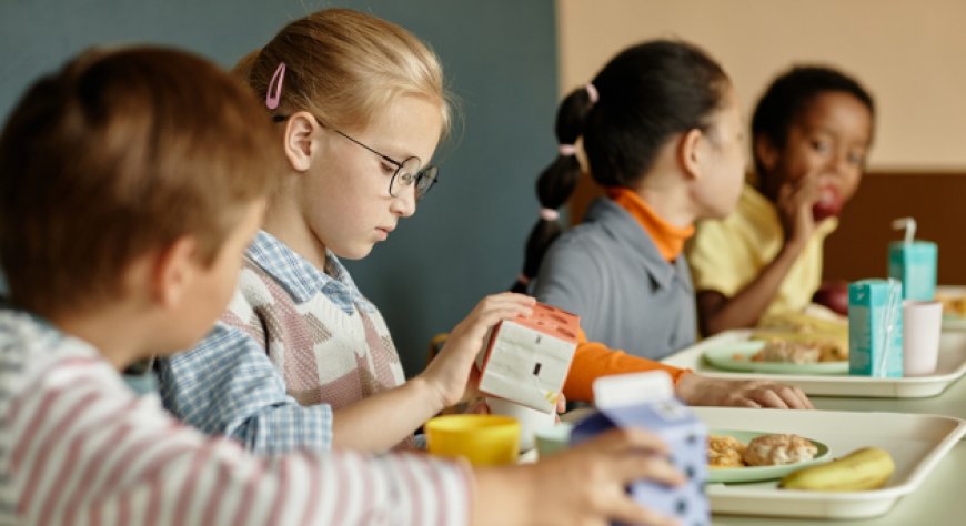 Mense scolastiche senza maiale a Piacenza: cosa c’è davvero dietro questa scelta