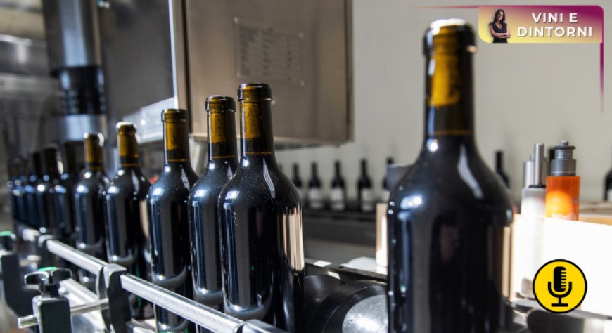 Vino italiano, cosa raccontano i dati Valoritalia sugli imbottigliamenti: la voce dei Consorzi di tutela