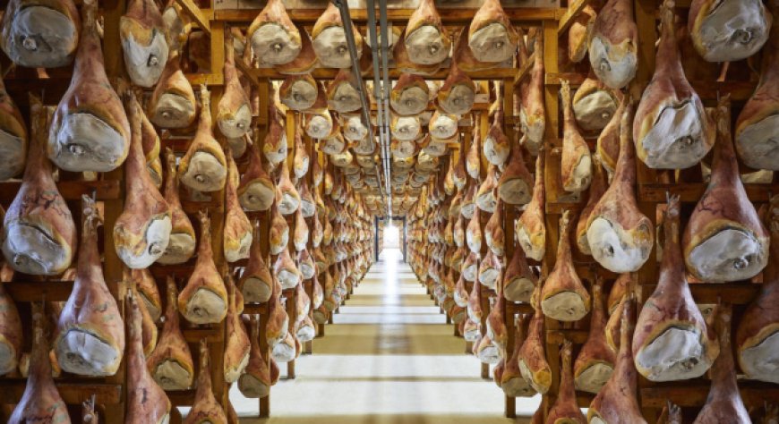 Prosciutto di San Daniele, 600 giorni per il «Seicento»: cosa cambia per il mercato