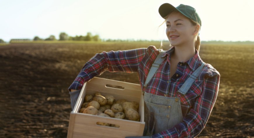 Agroalimentare, i costi mettono a rischio la tenuta delle imprese
